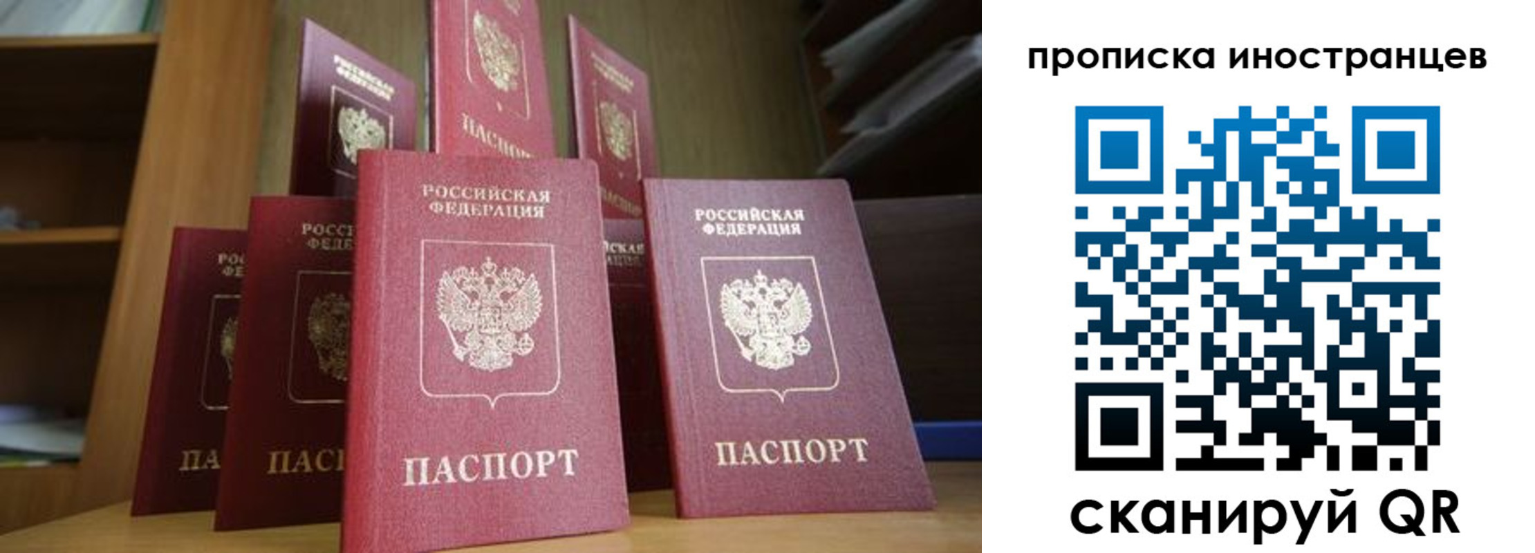 временная прописка в Сертолово